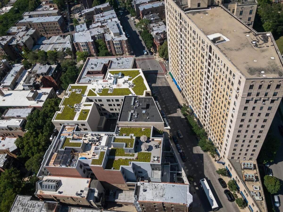 Aerial view of green roofs on apartment buildings