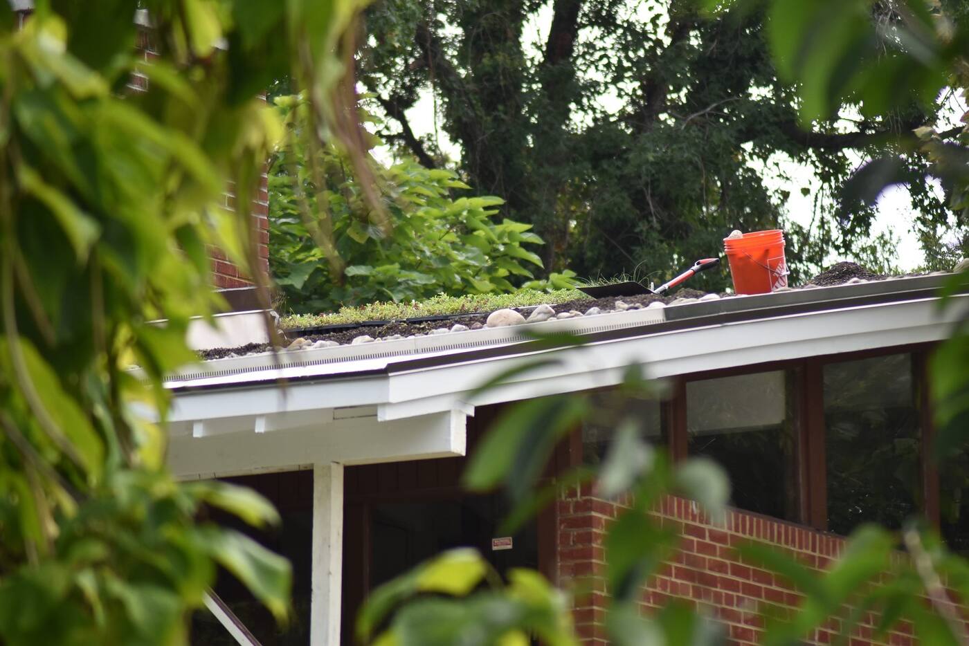 Green roof on a brick home in Washington, DC