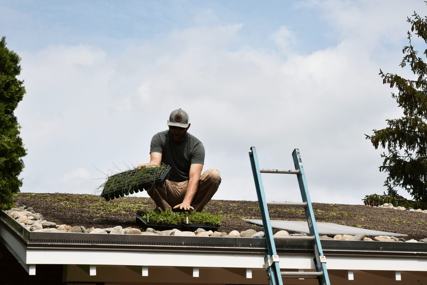 Green roof being installed on a DC home