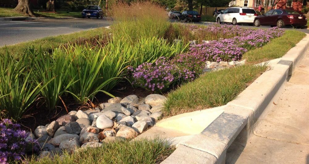 Rain garden with a curb cut