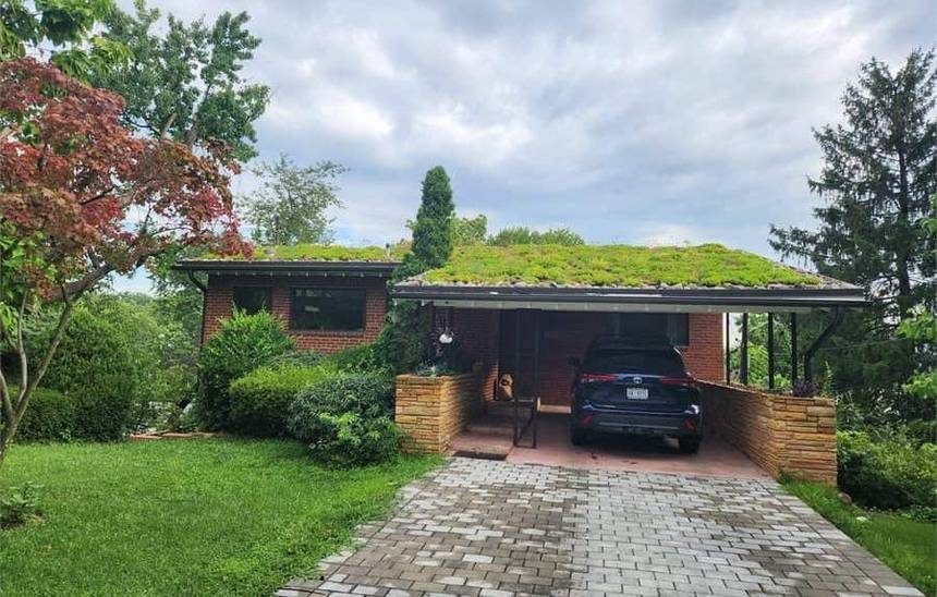 Planted green roof