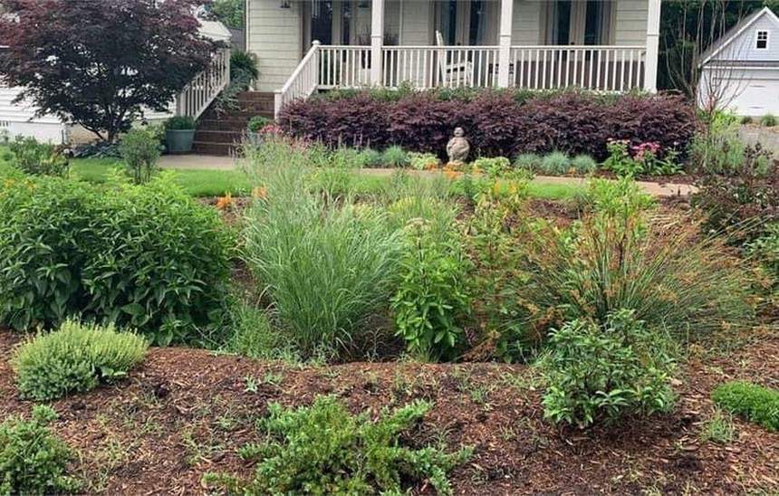 Planted rain garden