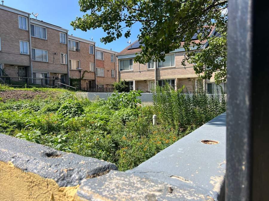 Bioretention facility at Southern Homes and Gardens