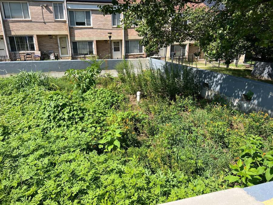Planted retention area behind rebuilt retaining walls