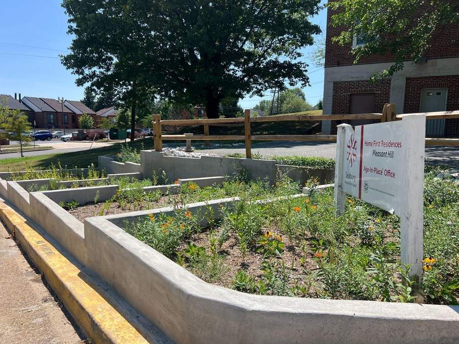 Bioretention practice with native planting on the campus