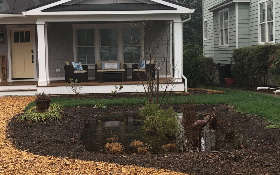 What is a Rain Garden and How does it Work?