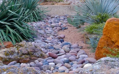 Drought-Resistant Design: Xeriscaping on a Budget