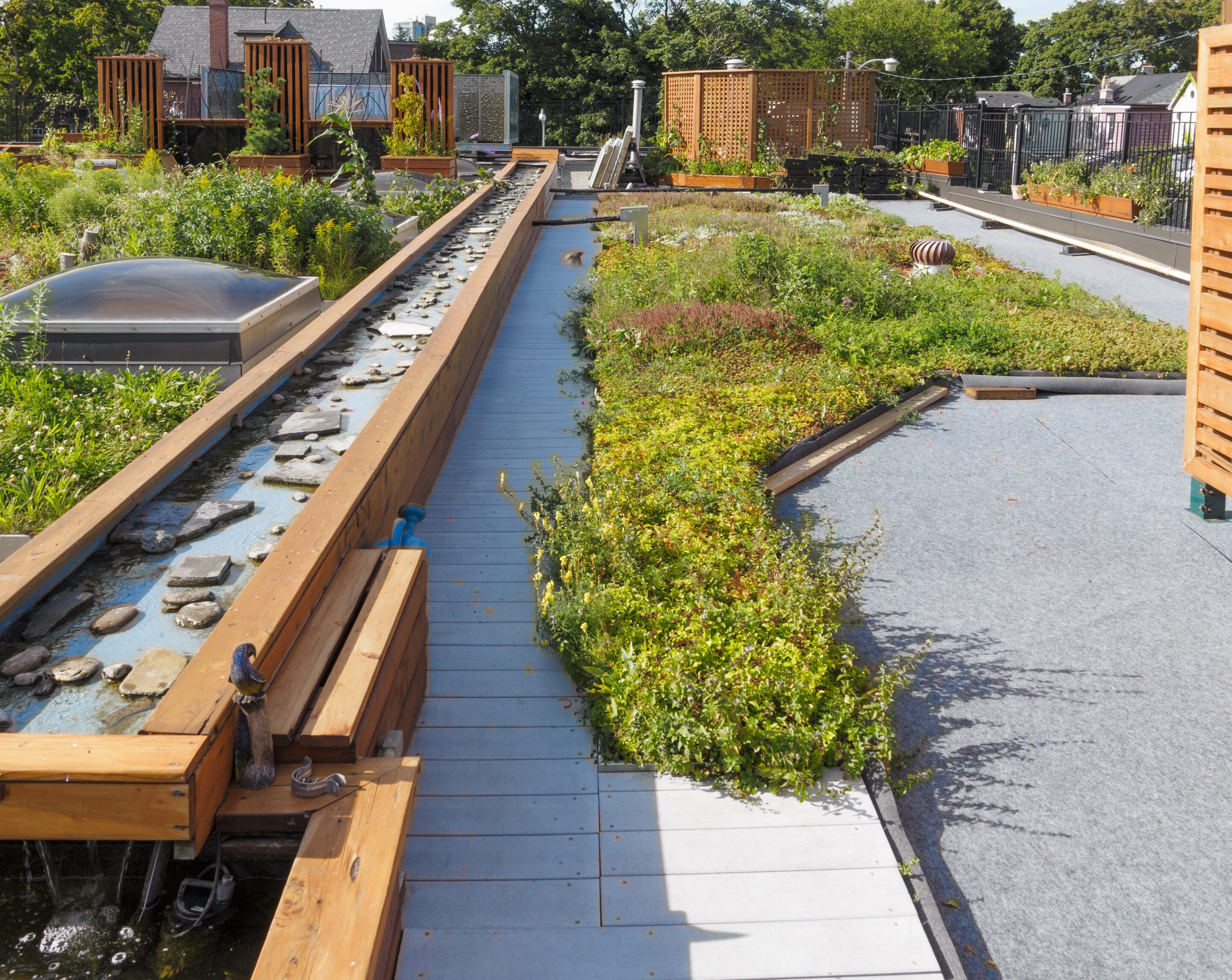 Green Roof Rebates Rainplan A Stormwater & Nature Based Solutions