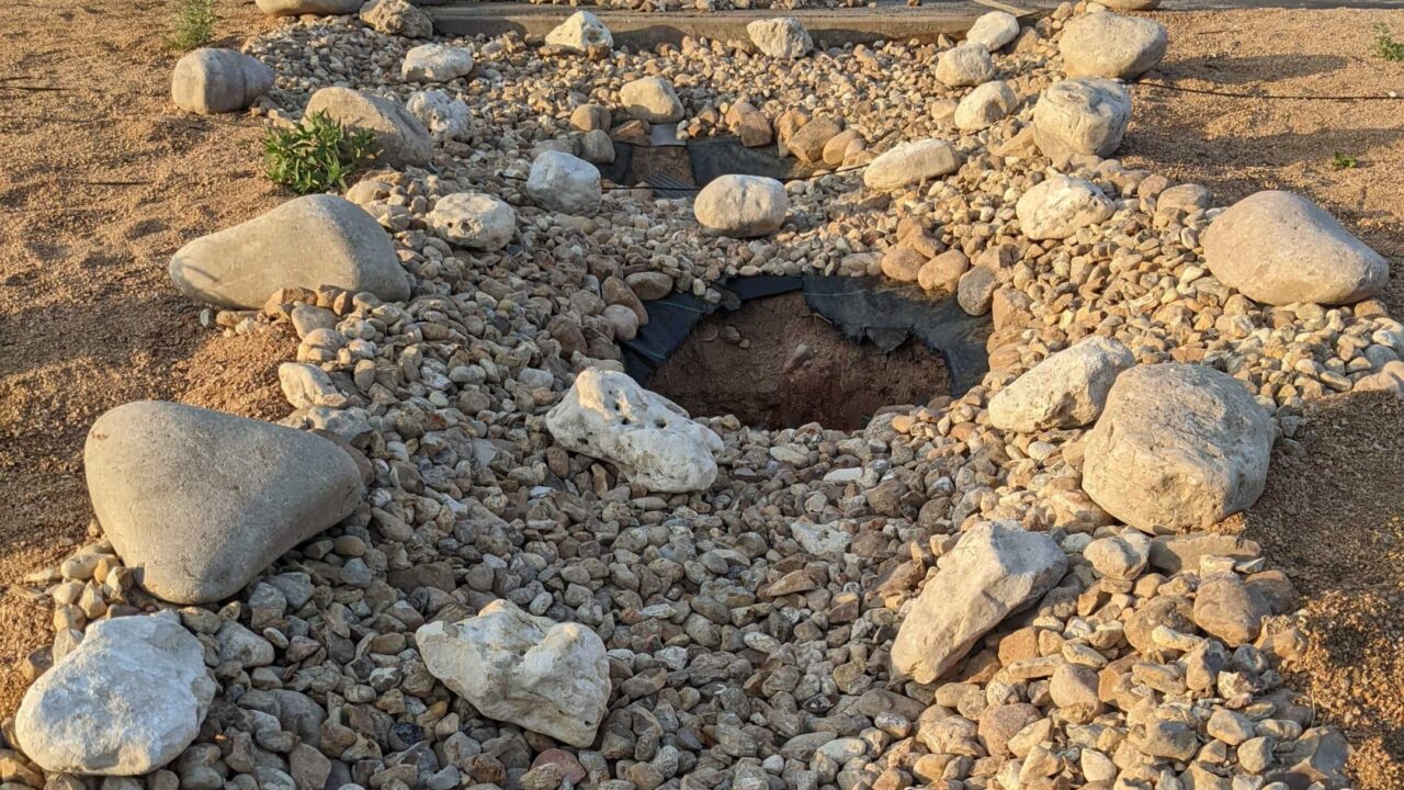 Drought Resistant Landscaping Incentives Rainplan