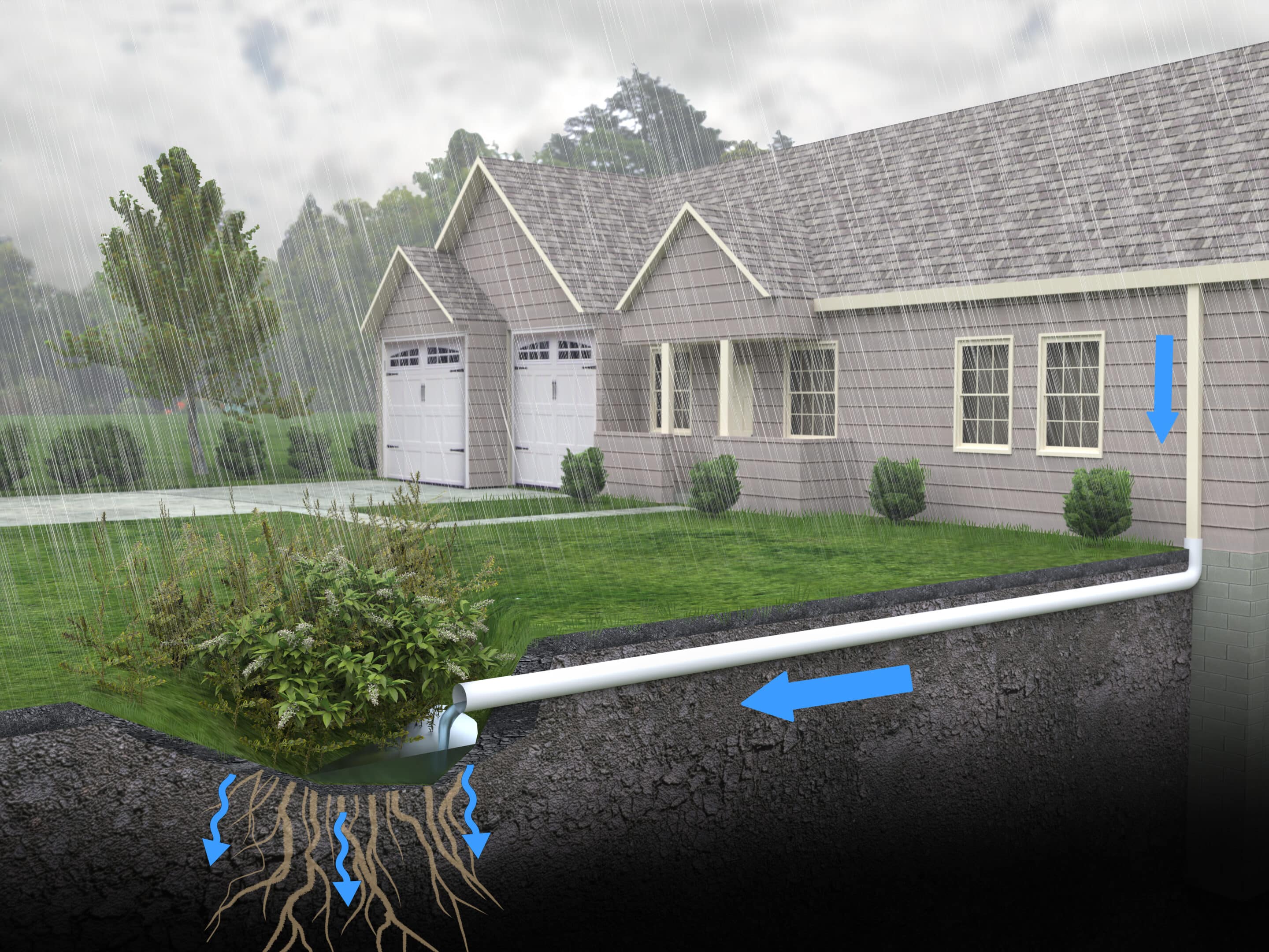 A diagrammatic 3D illustration of a Rain Garden drainage system. Rainwater run-off is diverted from the gutters into an underground pipe to a small retention garden area, where it is absorbed by the plants and ground.