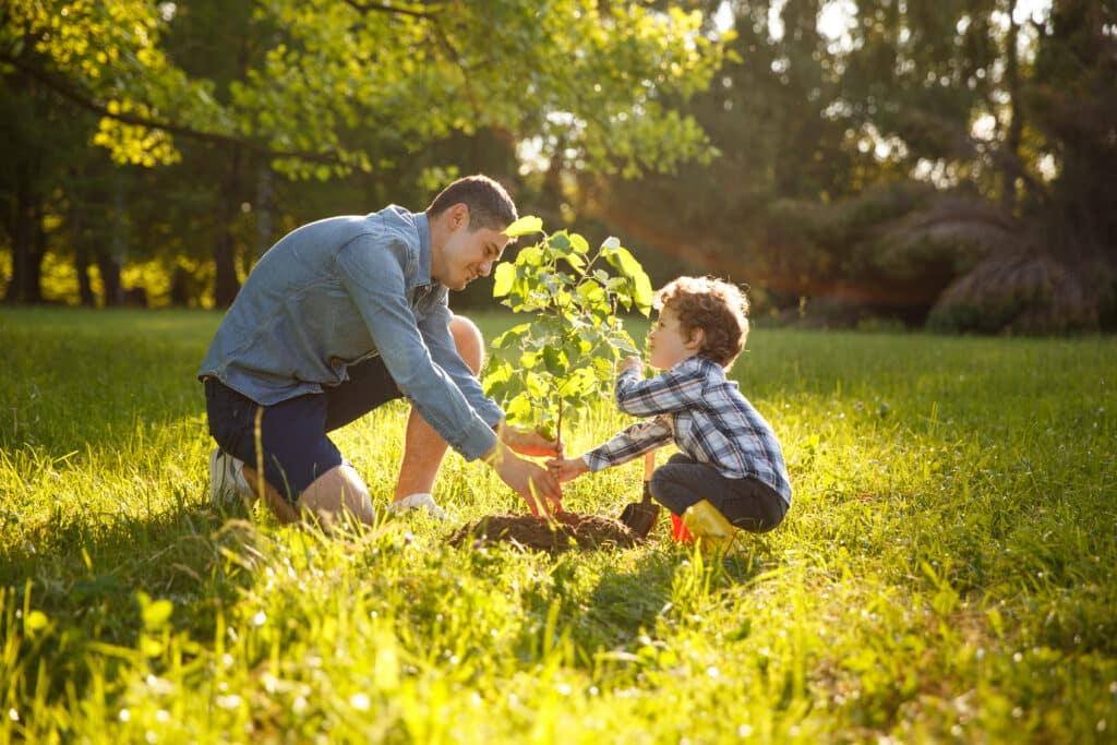Father wearing gray shirt and shorts and son in checkered shirt and pants planting tree under sun.