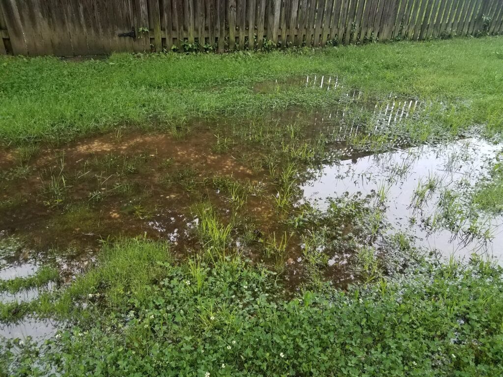 flooded yard or lawn with puddle and water and fence and grass