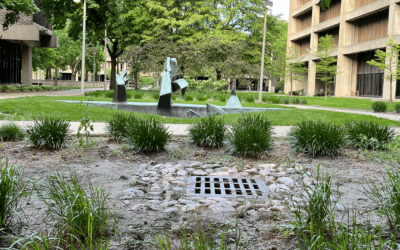 Stormwater Innovation and Affordable Housing Developers