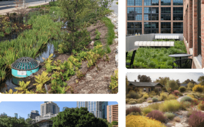 The Case for Equity in Green Infrastructure