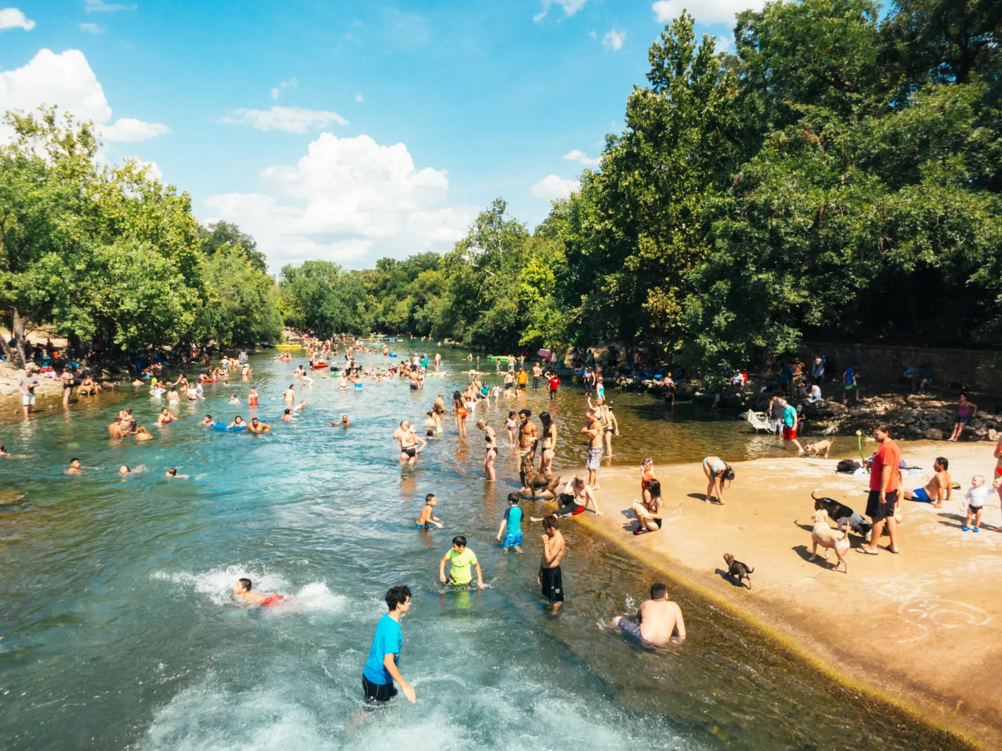 people swimming in clean water