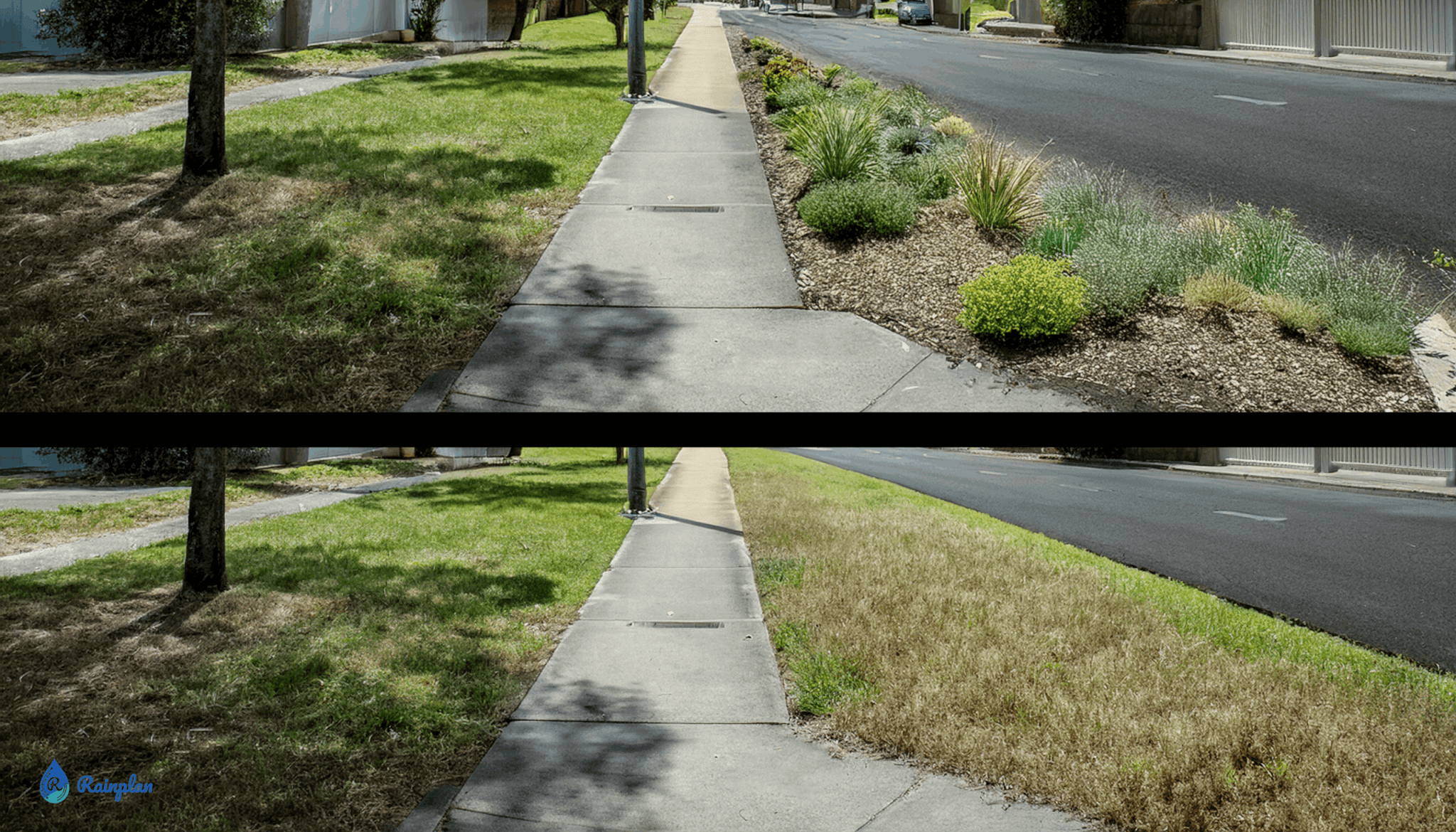 BEfore and after hell strip 1