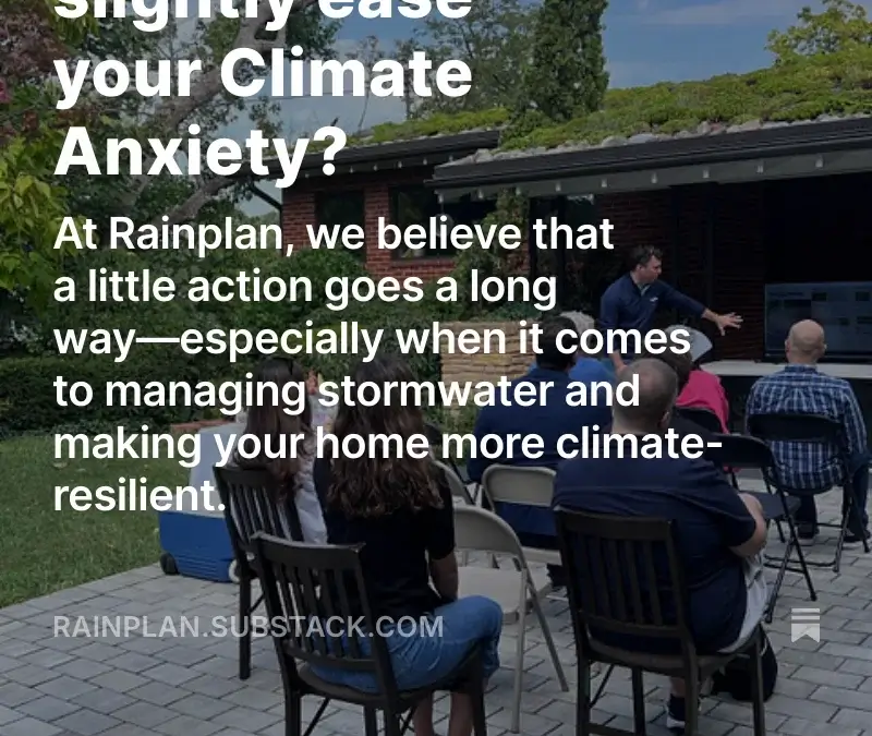 climate anxiety substack image