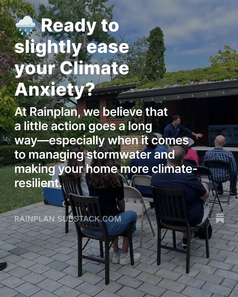 substack image climate anxiety substack image